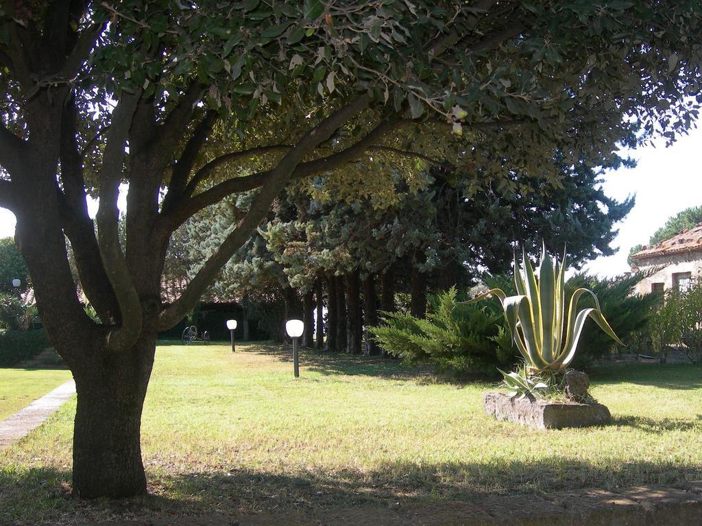 מונטאלטו די קסטרו Tenuta Di Pontesodo מראה חיצוני תמונה
